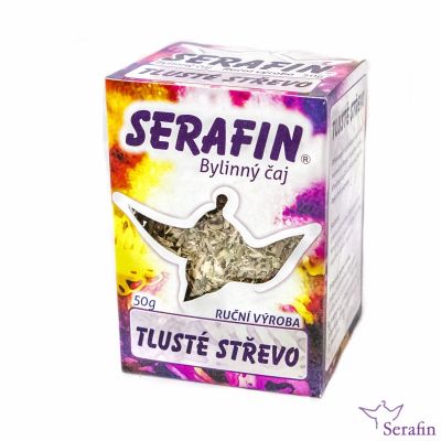 Tlusté střevo