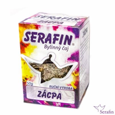 Zácpa