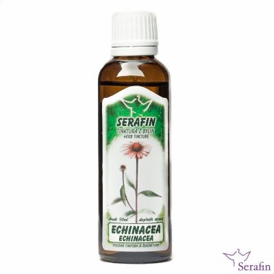 Echinacea